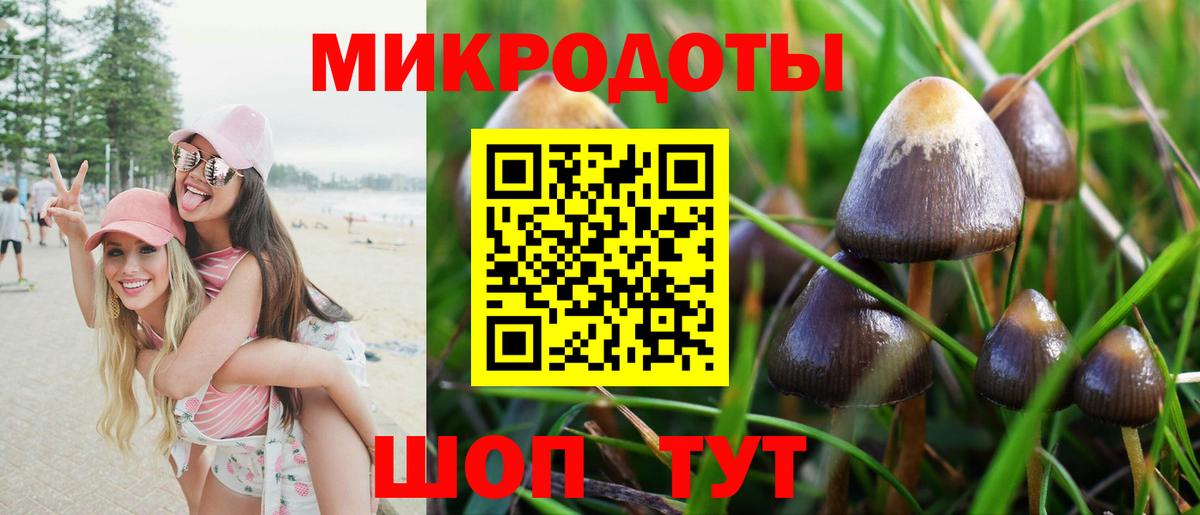 Псилоцибиновые грибы MAGIC MUSHROOMS  Вход с VPN  Артёмовский 